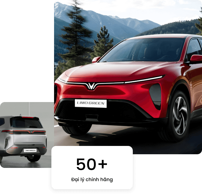 50 đại lý chính hãng