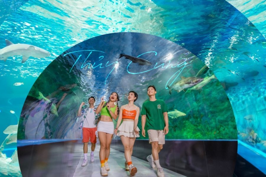 Thuỷ cung tại Thiên đường Bảo Sơn gây ấn tượng bởi những loài cá đa dạng từ nước ngọt, nước lợ và nước mặn