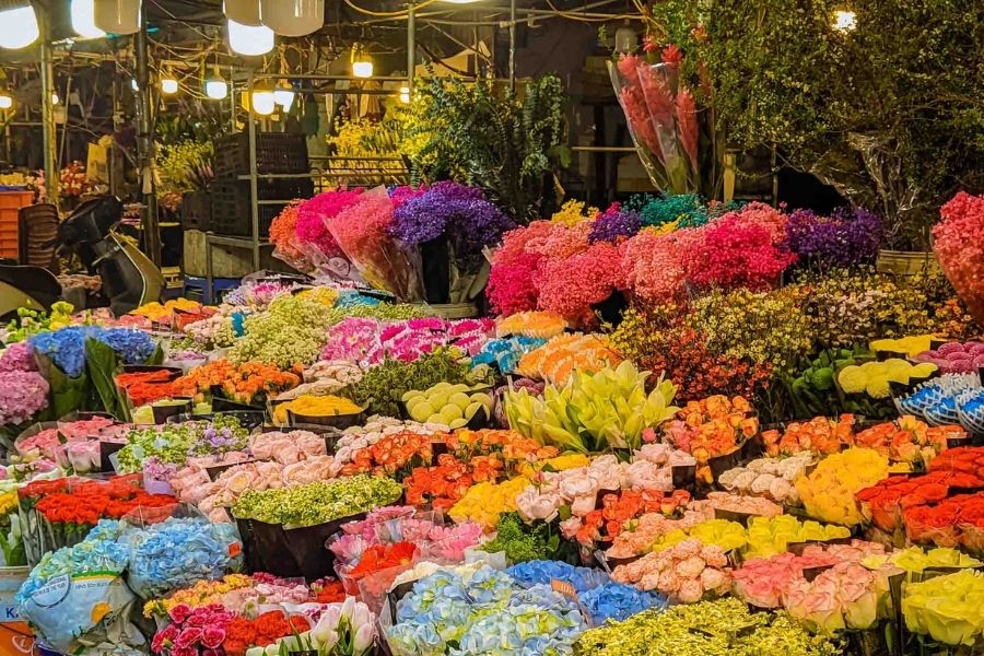 Chợ hoa Quảng An là thiên đường hoa tươi với vô vàn loài hoa khoe sắc