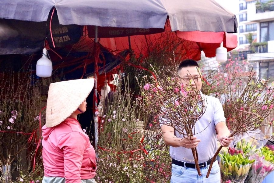 Người dân đến chọn hoa chưng ngày Tết tại chợ hoa Quảng An