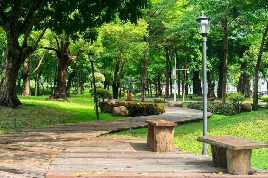 Thảm thực vật phong phú tại công viên Gia Định
