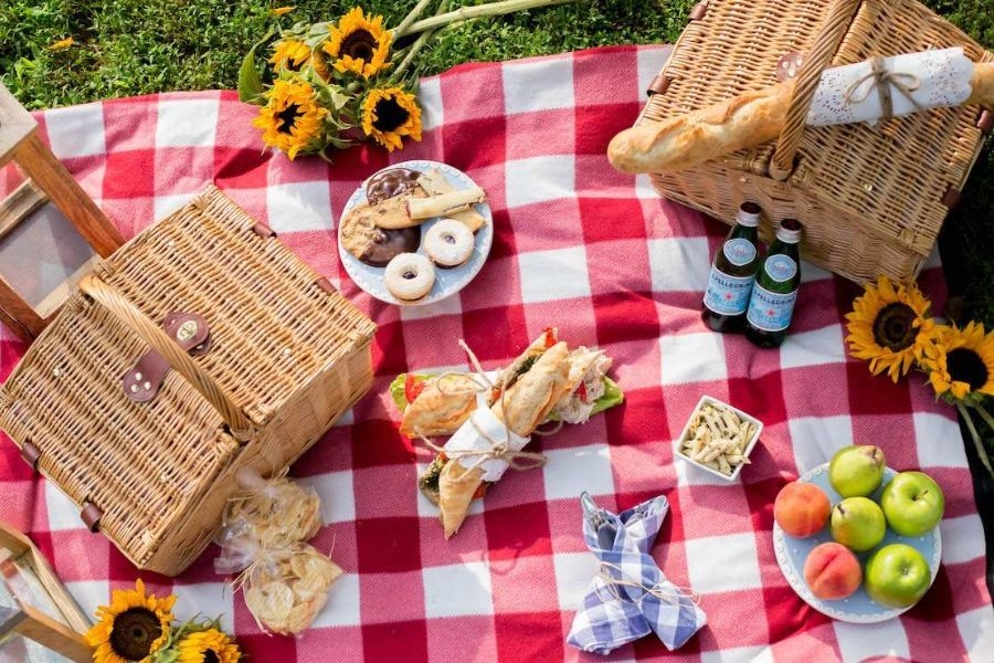 Tổ chức dã ngoại và picnic