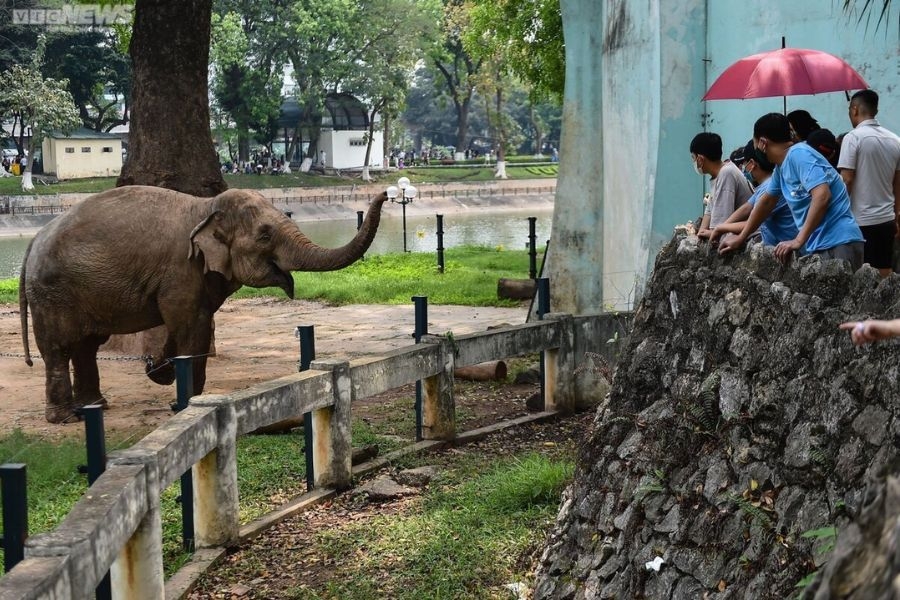Khi đến vườn thú, du khách sẽ được chiêm ngưỡng các loài động vật từ bò sát đến móng guốc, linh trưởng, thú dữ và các giống chim quý hiếm