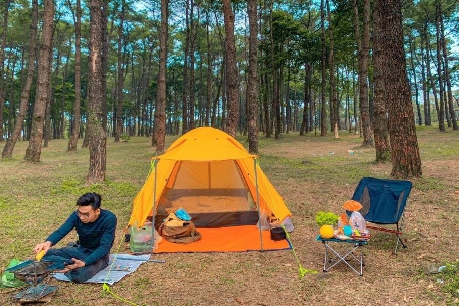 Gợi ý lịch trình 1 ngày khám phá rừng thông Bồ Bồ và các điểm lân cận