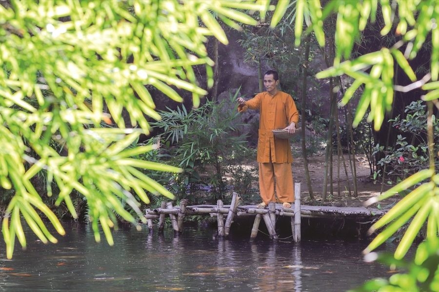 Sơn Trà Tịnh Viên là thành quả của tâm huyết và sự kiên trì của Đại đức Thích Thế Tường