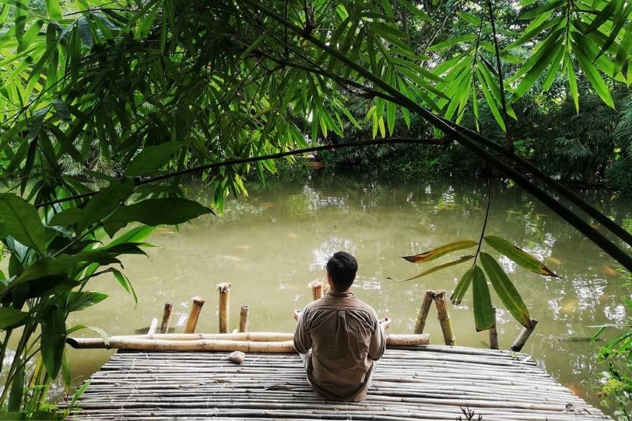 Tìm thấy sự an lạc trong tâm hồn giữa không gian xanh mướt và yên bình