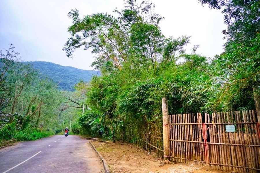 Kết hợp khám phá Sơn Trà Tịnh Viên với các điểm đến nổi bật trên bán đảo Sơn Trà để có chuyến đi trọn vẹn