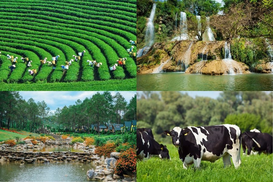 Những địa điểm tham quan tại Mộc Châu mà bạn nên ghé thăm