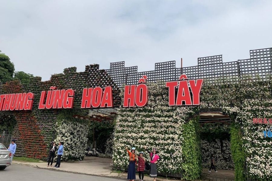 Thung lũng hoa Hồ Tây