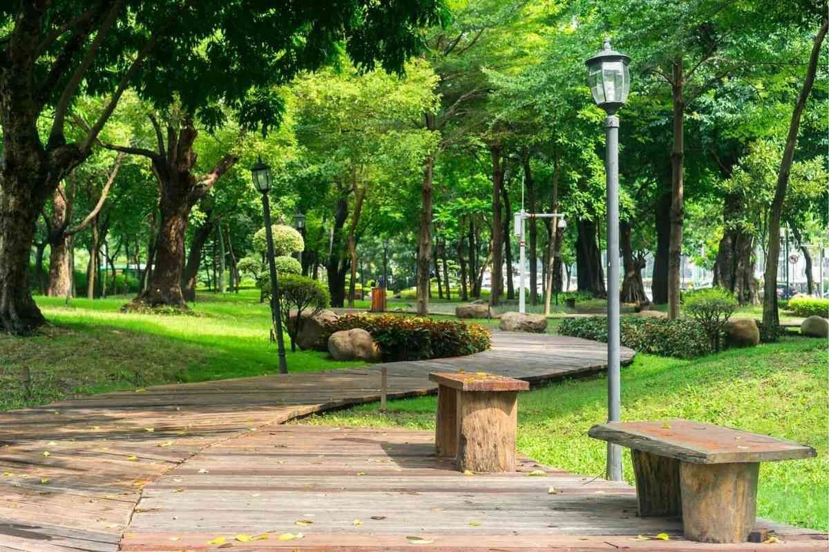 Đường chạy và lối đi bộ trong khuôn viên được bố trí thuận tiện, trải nhựa hoặc lát đá